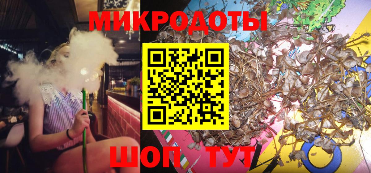 Галлюциногенные грибы MAGIC MUSHROOMS Камень-на-Оби